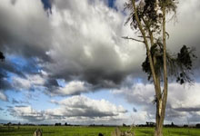 jinnianhui金年会首页:裏弗斯:訓練營的經歷讓隆多深陷其中 他註定要走上執教道路.