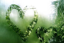 金年会体育官网入口:西甲第4輪皇家馬德裏2-1皇家貝蒂斯 維尼修斯連場破門羅德裏戈建功.