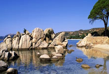 jinnianhui金年会首页:裏弗斯:訓練營的經歷讓隆多深陷其中 他註定要走上執教道路.